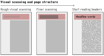 Diagram on how the eye scans the page.