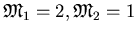 $\mathfrak{M}_1=2, \mathfrak{M}_2=1$