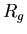 $R_{g}$
