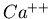 $Ca^{++}$